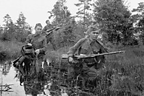 Рота связи 576 СП