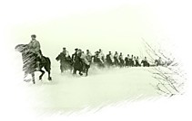 История полка