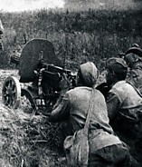 1 Пулемётная рота 1 батальон 576 СП